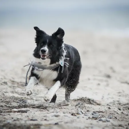 White Pearl 1.15 Апартаменты Тиммендорфер-Штранд