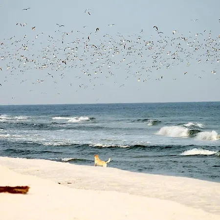 White Pearl 1.15 Апартаменты