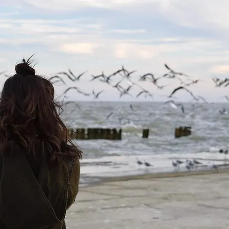 White Pearl 1.15 Тиммендорфер-Штранд