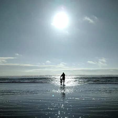 White Pearl 1.15 Апартаменты